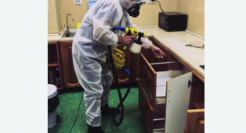 Дезинсекция квартиры. Тихорецк