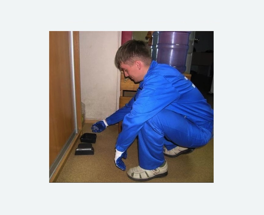 Дератизация крыс в Тихорецке