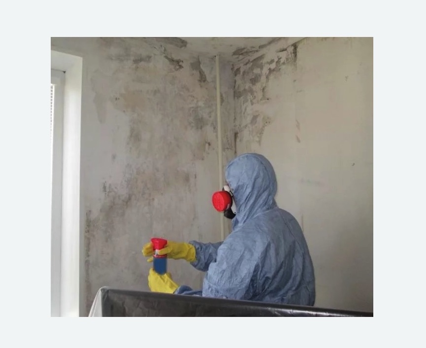 Удаление плесени в квартире в Тихорецке