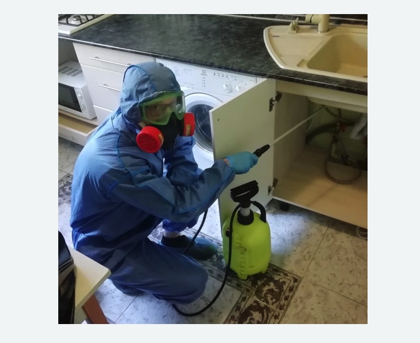 обработка от муравьев в квартире в Тихорецке