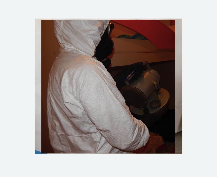 Дезинфекция от муравьев в Тихорецке