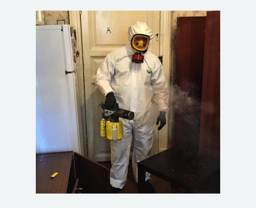 уничтожение муравьев в квартире в Тихорецке